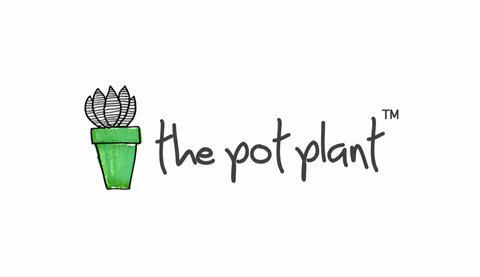 Pot Plant Gift Card